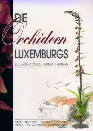 Orchideen Luxemburgs